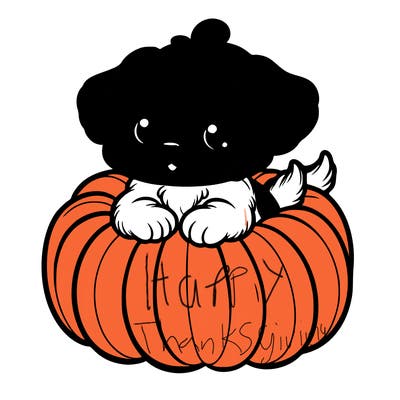 cute little puppy in a pumpkin