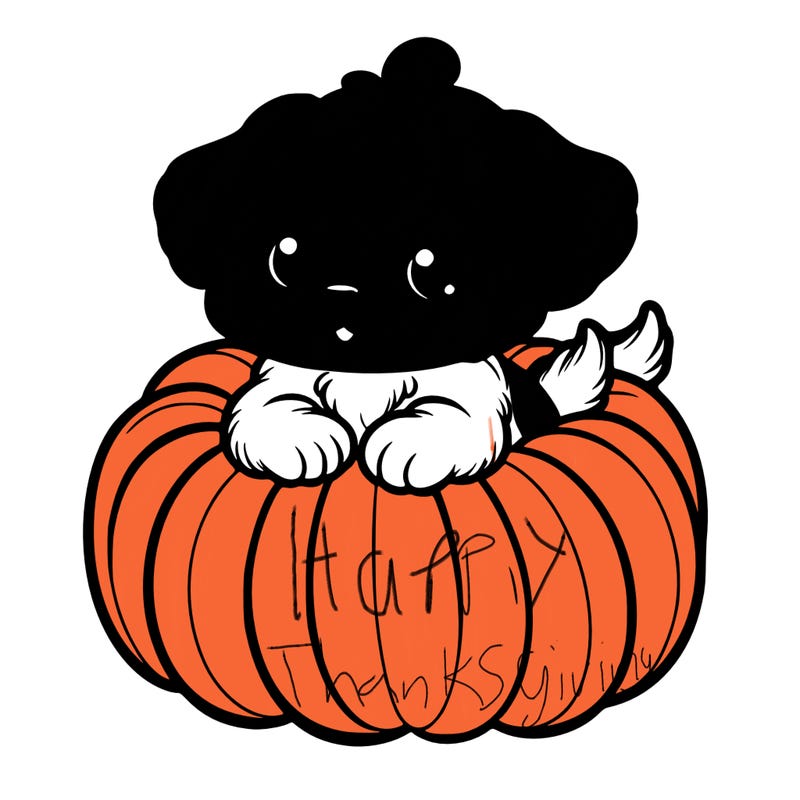 cute little puppy in a pumpkin