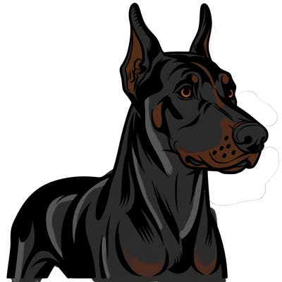 doberman