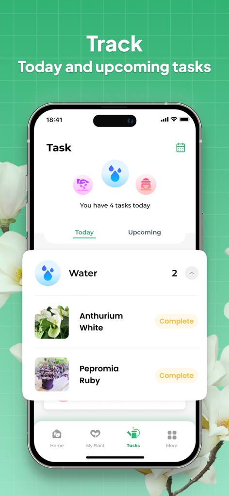 Bildschirm einer mobilen App mit täglichen Pflanzenpflegeaufgaben und Bewässerungserinnerungen für Anthurium White und Pepromia Ruby Pflanzen