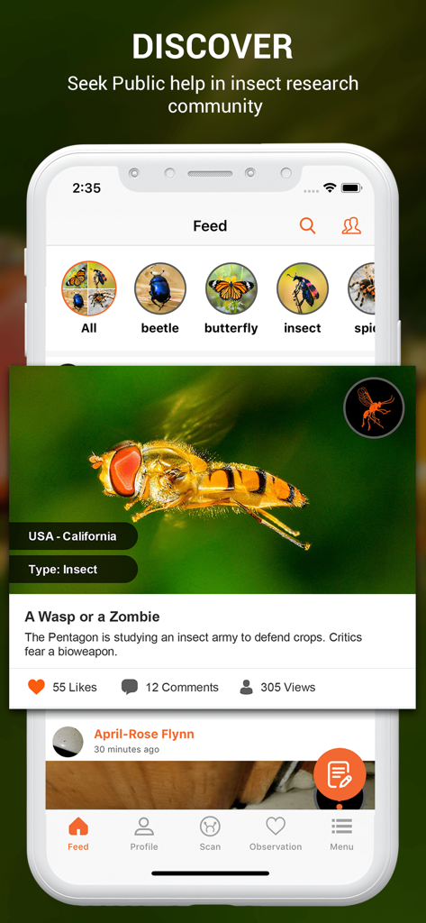 Interfaz de aplicación móvil mostrando un feed social de fotos de insectos y categorías de identificación