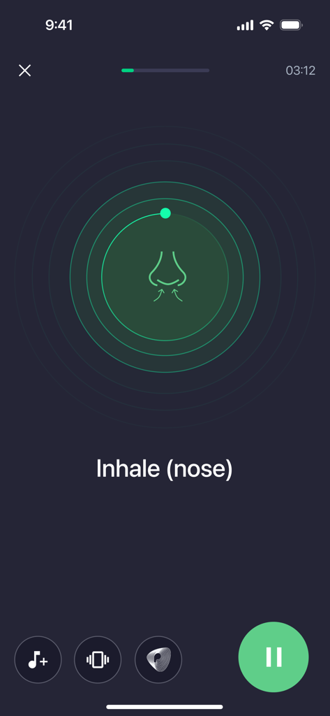 Pulsetto Wellness - Pulsettoアプリのインターフェース。吸入指示付きのガイド付き呼吸運動が表示されています。