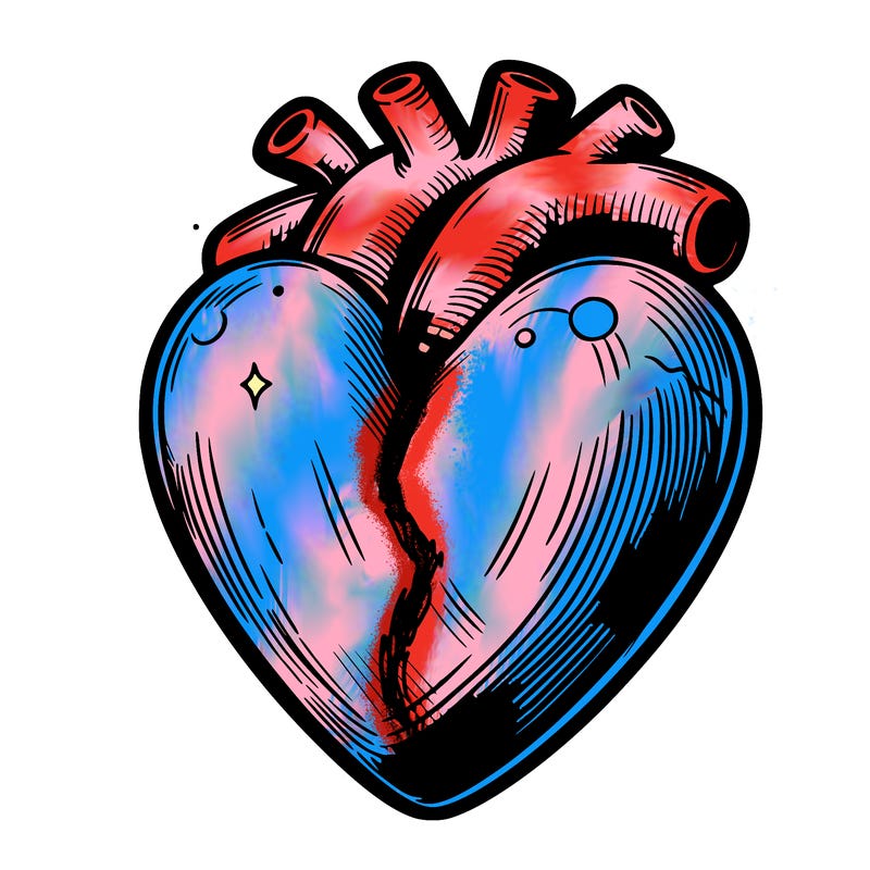 realistic heart