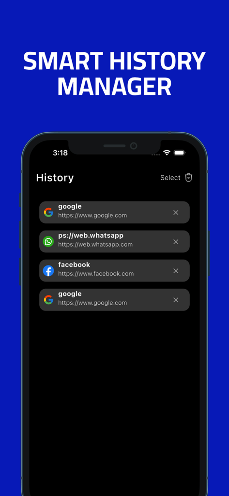 Interface do Gerenciador de Histórico Inteligente no X Browser PRO mostrando o histórico de navegação privada em um iPhone