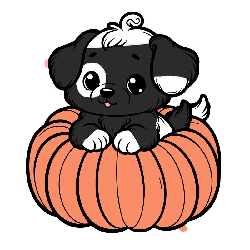 cute little puppy in a pumpkin