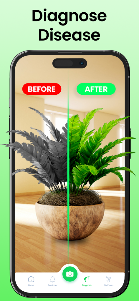 Plant Identifier + Plant Care - Pantalla de la aplicación Identificador de Plantas mostrando el diagnóstico de enfermedades de plantas con resultados de antes y después.