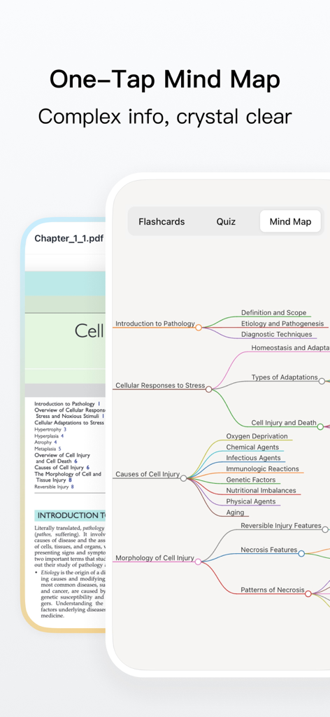 Keepmind: AI Flashcards - Interface de l'application Keepmind affichant une carte mentale générée par l'IA pour l'étude de sujets complexes comme la pathologie.