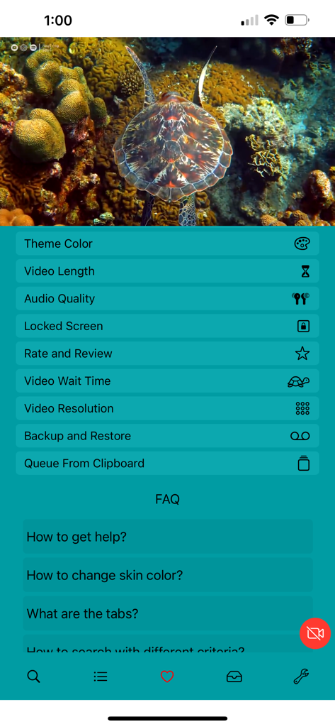 BluePlayer app settings and FAQ screen showing customization options and video player