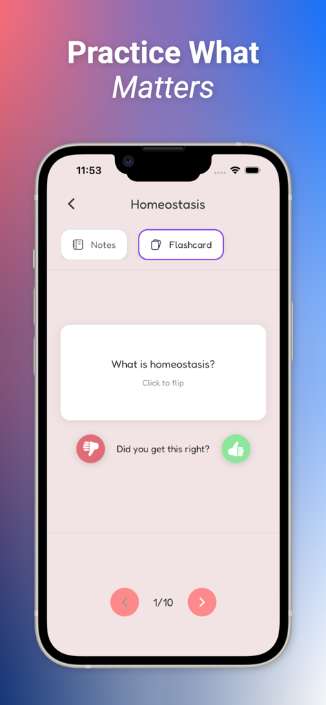 StudyPup - StudyPup app interface showing a flashcard about homeostasis with feedback buttons for active recall study.