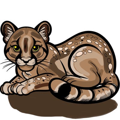 cougar