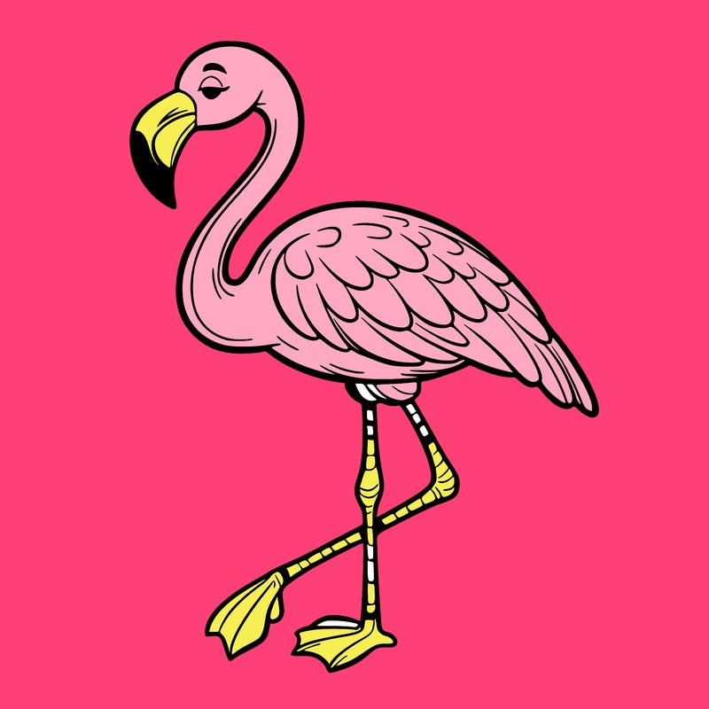 flamingo