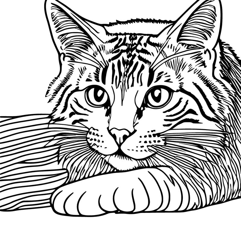 realistic cat