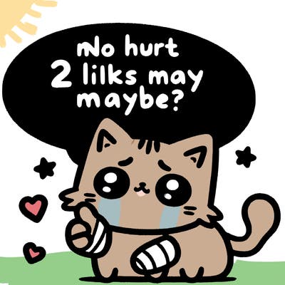 cute cat thats been hurt saiying 2 likes maybe