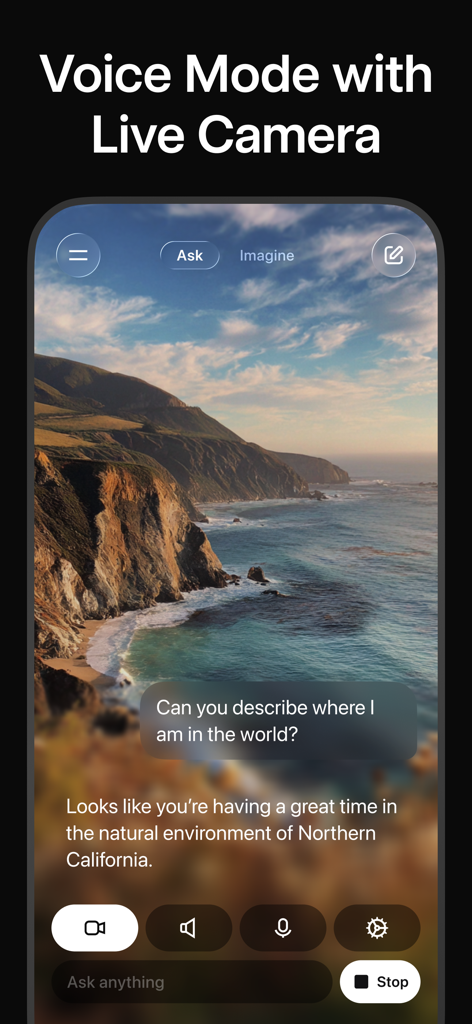 Grok AI using Voice Mode with Live Camera to identify a Northern California coastline