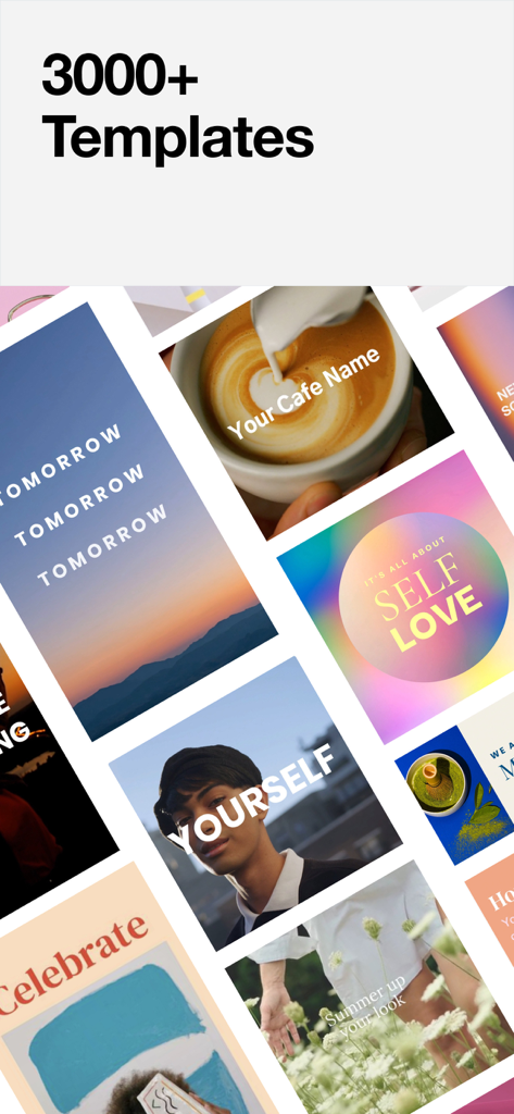 A selection of over 3000 professional video templates for small businesses and social media marketing