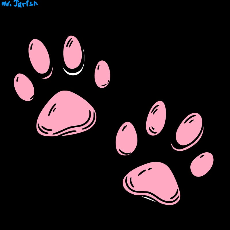paw prints