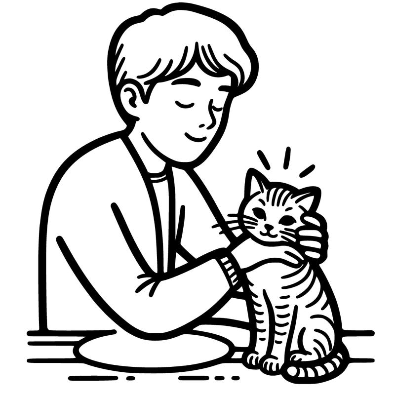 a human petting a cat