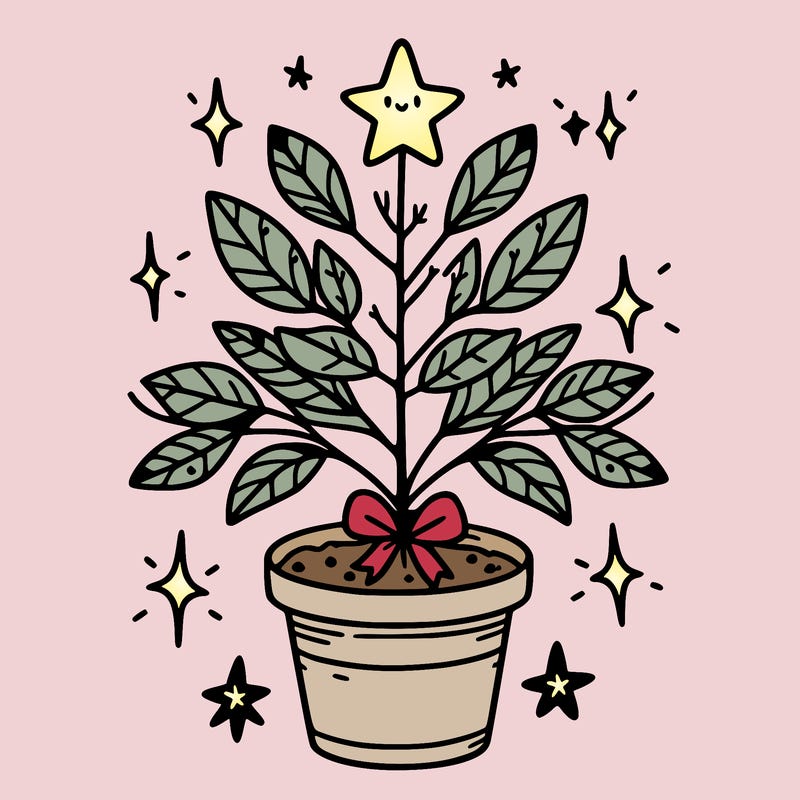 christmas plant