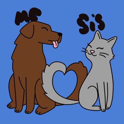 animals_22