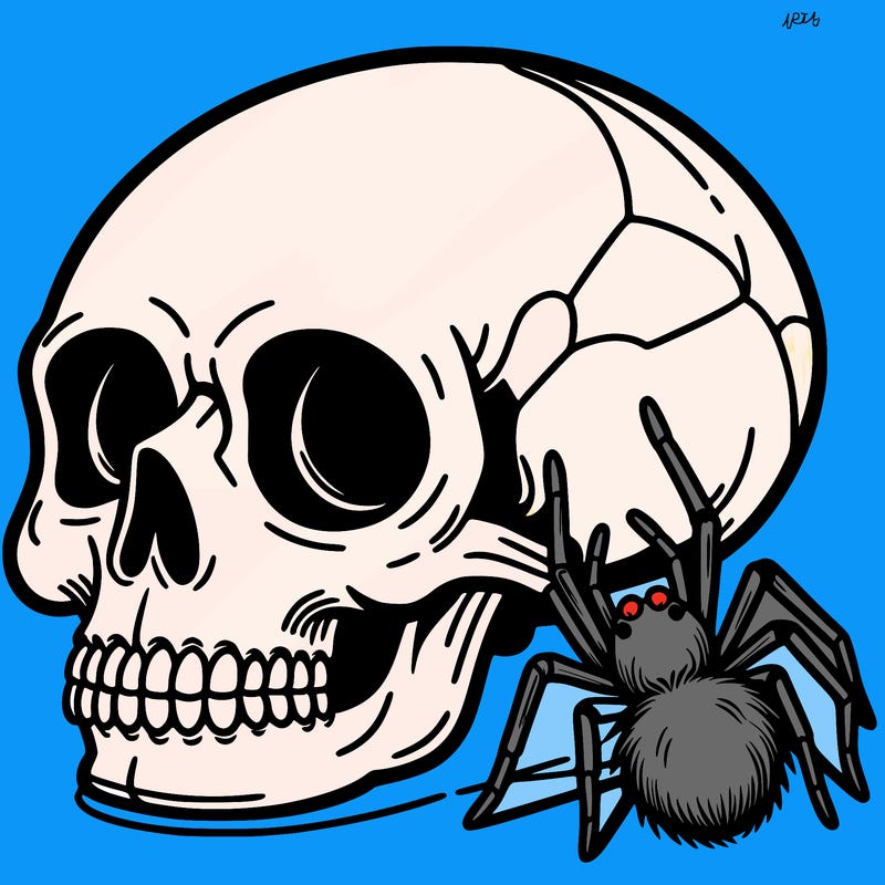 skull with spider