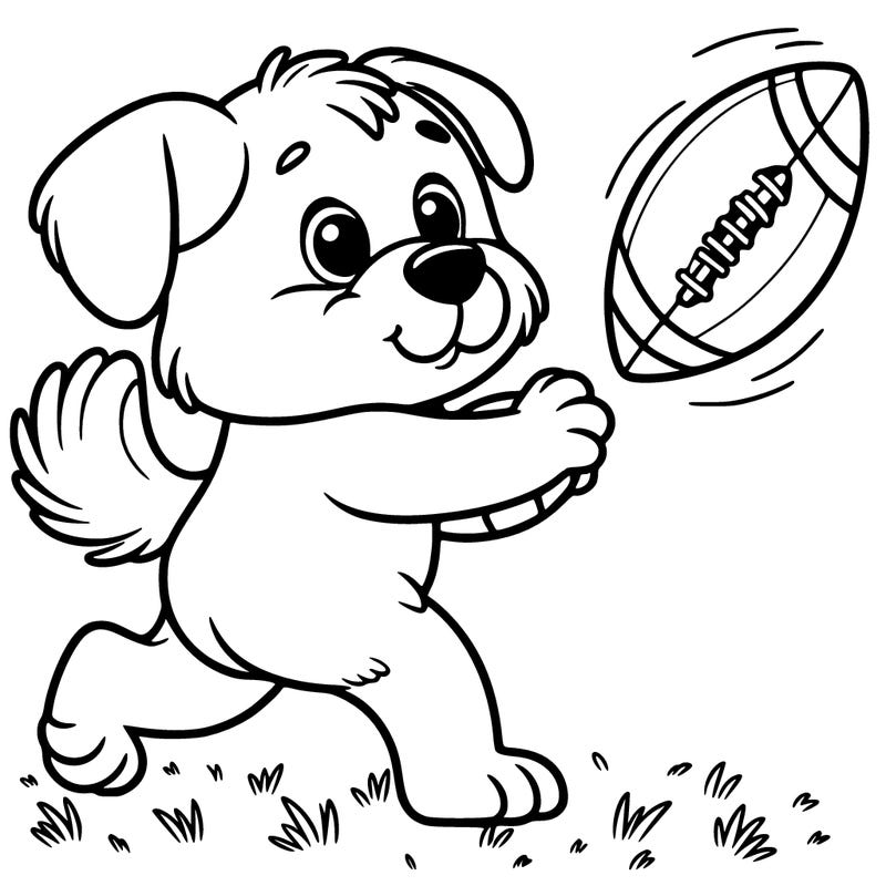 dog playing football