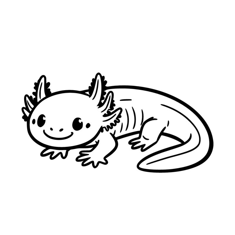 a small axolotl