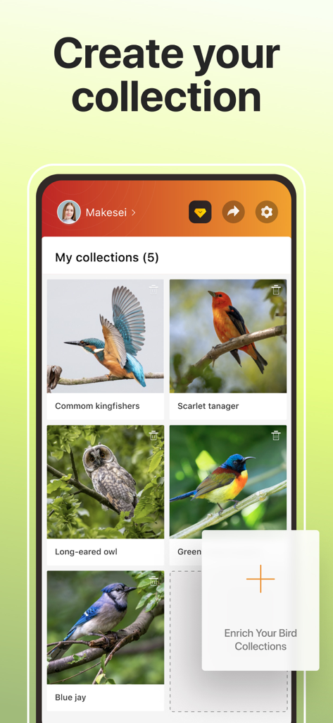 Picture Bird - Bird Identifier - 鳥識別アプリの画面。カワセミやフクロウなどの識別された鳥のコレクションが表示されています。