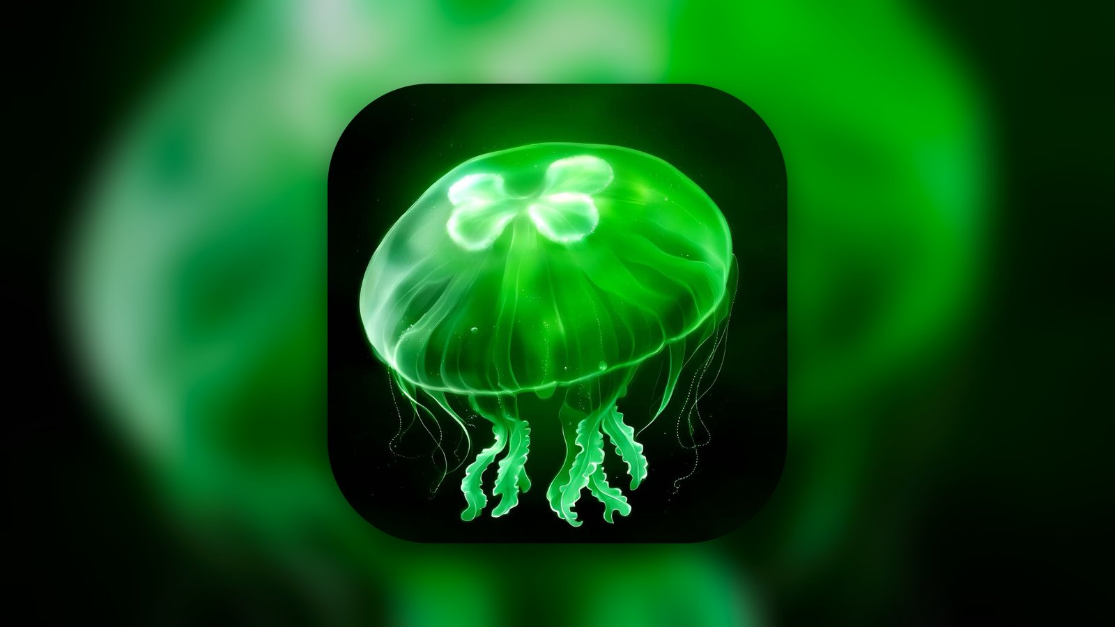 EGGJELLY - Entertainment App | MWM