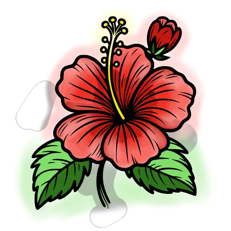 hibiscus flower