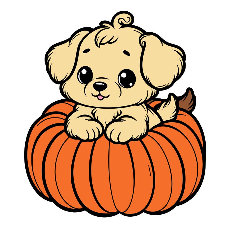 cute little puppy in a pumpkin