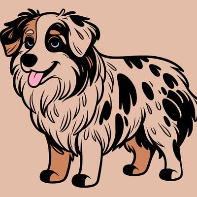 australian shepherd