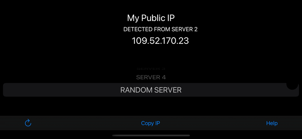 My Public IP - Capture d'écran de l'application Mon IP Publique affichant une adresse IP publique détectée avec un bouton pour copier l'IP.