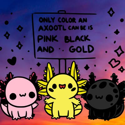 three  axolotl’s and a sign that says the only color an axolotl can be is pink black and gold  super cute animated