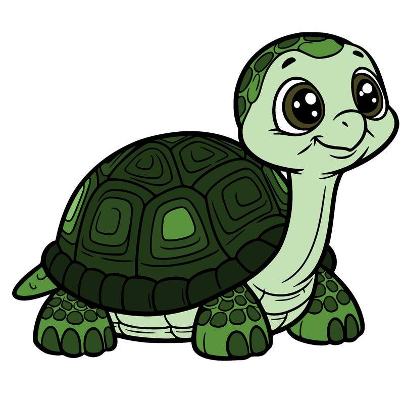 tortoise