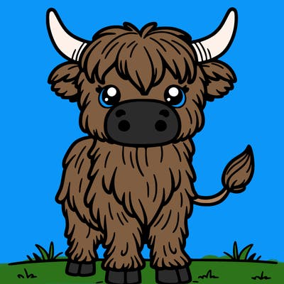 highland cow
