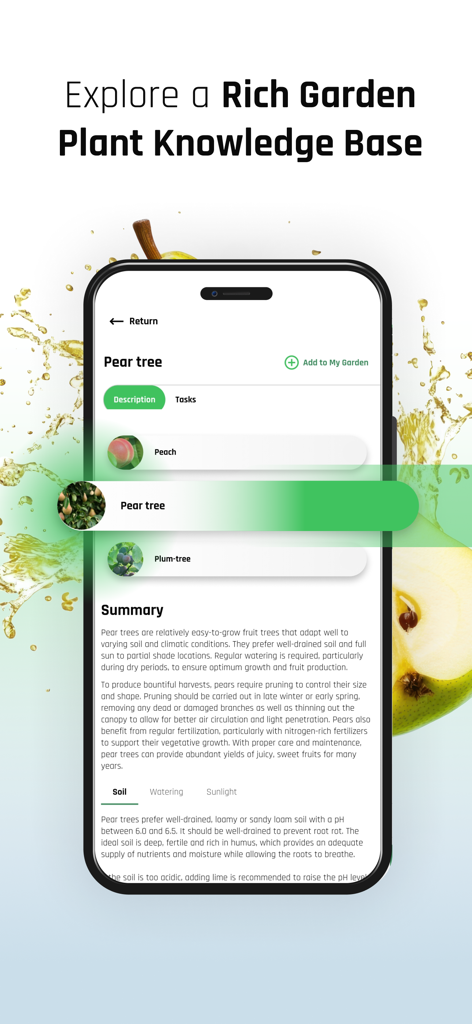 PLANTIS - Plants care - Plantis 앱 인터페이스가 식물 지식 베이스에 상세한 배나무 관리 정보와 토양 요구 사항을 보여줍니다.