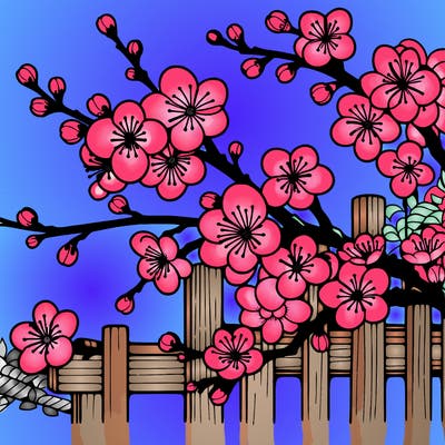 japan cherry blossom