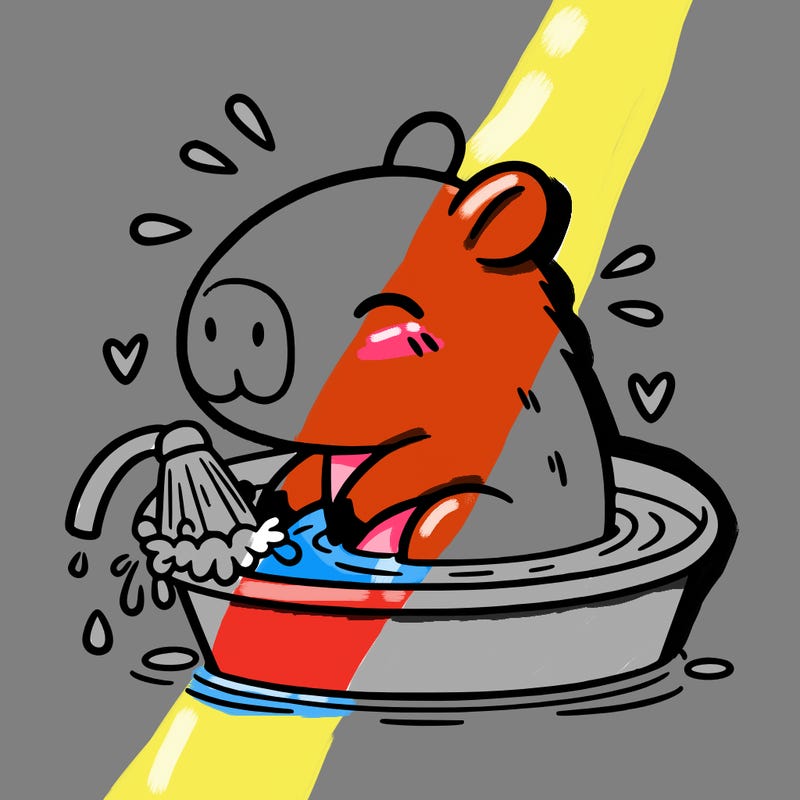 capybara taking a bath