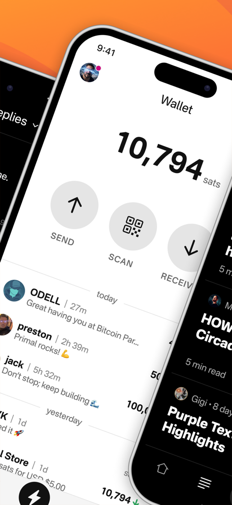 Primal - A screenshot of the Primal app showing a Bitcoin wallet interface with transaction history and navigation buttons