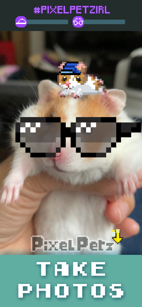 Un hámster de la vida real con gafas de sol de pixel art y una pegatina de mascota de píxeles usando la función de foto de la aplicación