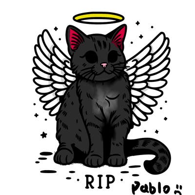 rip cat realistic cat with angel wings