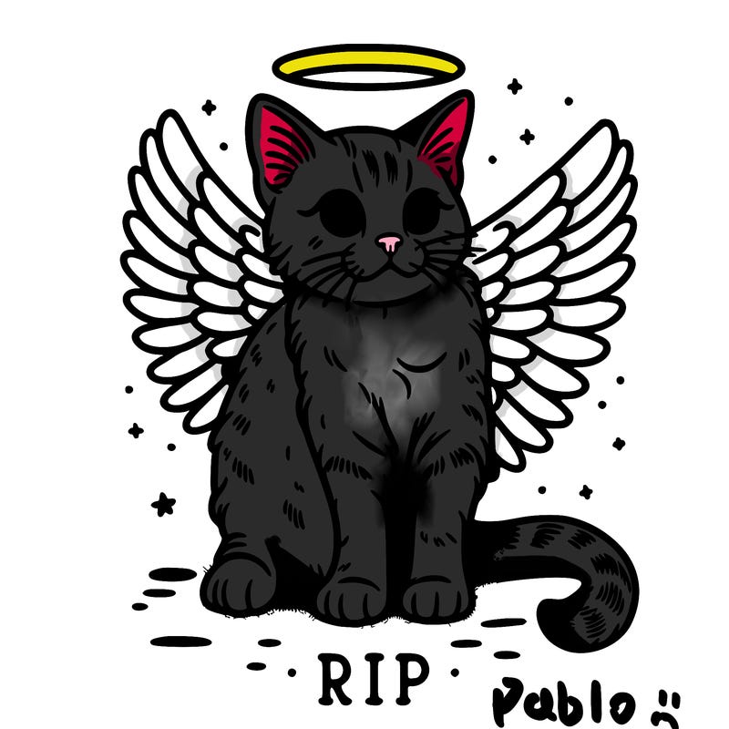 rip cat realistic cat with angel wings