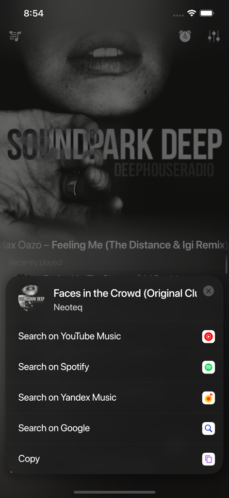 SOUNDPARK #DEEP - Soundpark Deep app track search menu with options to search on Spotify or YouTube Music