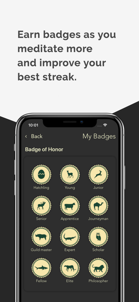 A mobile screen showing a list of earned meditation badges for steady breathing exercises