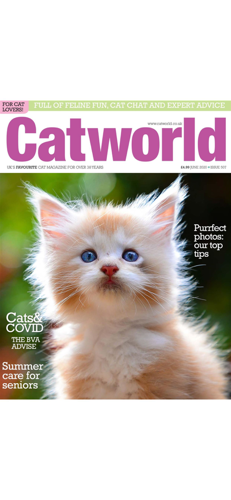 Catworld Magazine - Portada de la revista Catworld con un esponjoso gatito jengibre y blanco