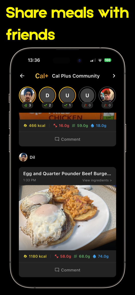 Cal Plus app social interface for sharing meal photos and nutrition stats with friends