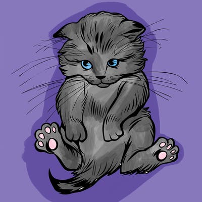 animals_20