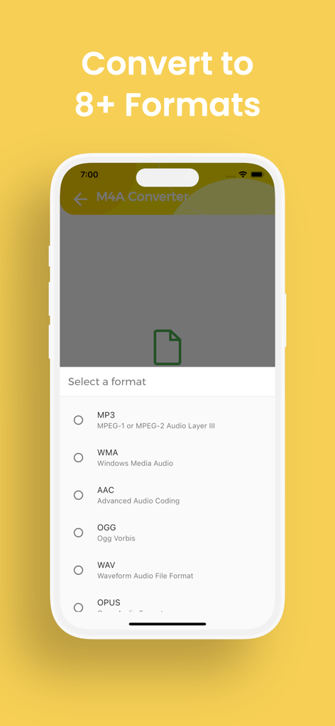 M4A Converter, M4A to MP3 - M4A Konverter App-Oberfläche, die verschiedene Audioformatoptionen wie MP3 und WAV anzeigt