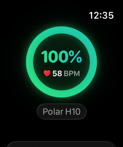 HRM Battery - HRM Battery app on Apple Watch displaying 100 percent battery life and 58 BPM for a Polar H10 heart rate monitor