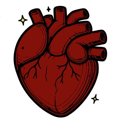 realistic heart